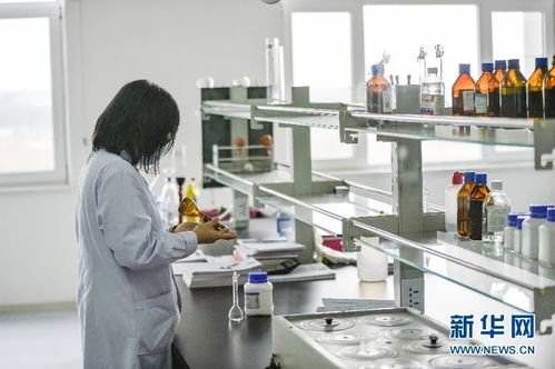 合汽生材 科技賦能飼料業(yè)，網(wǎng)絡(luò)技術(shù)研發(fā)引領(lǐng)產(chǎn)業(yè)升級(jí)